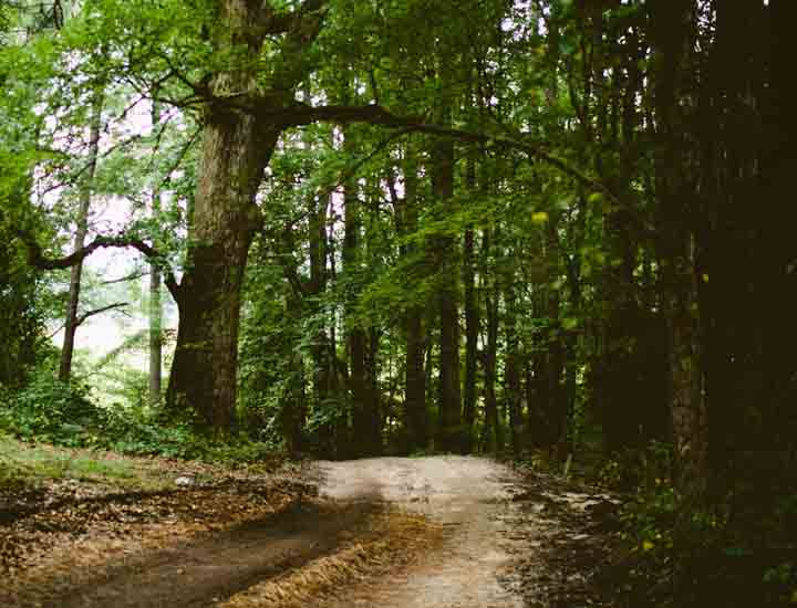 攻击网站服务器