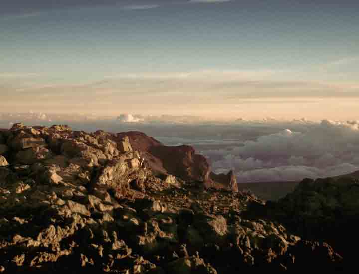 免费ddos在线攻击