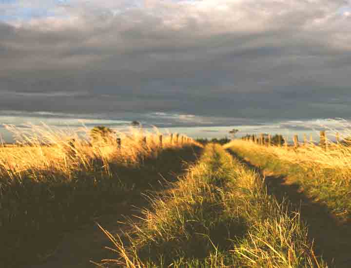 免费ddos在线攻击